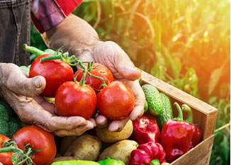 農產品配送如何規(guī)范質量